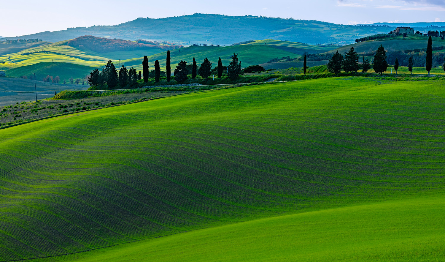 Paesaggi Senesi